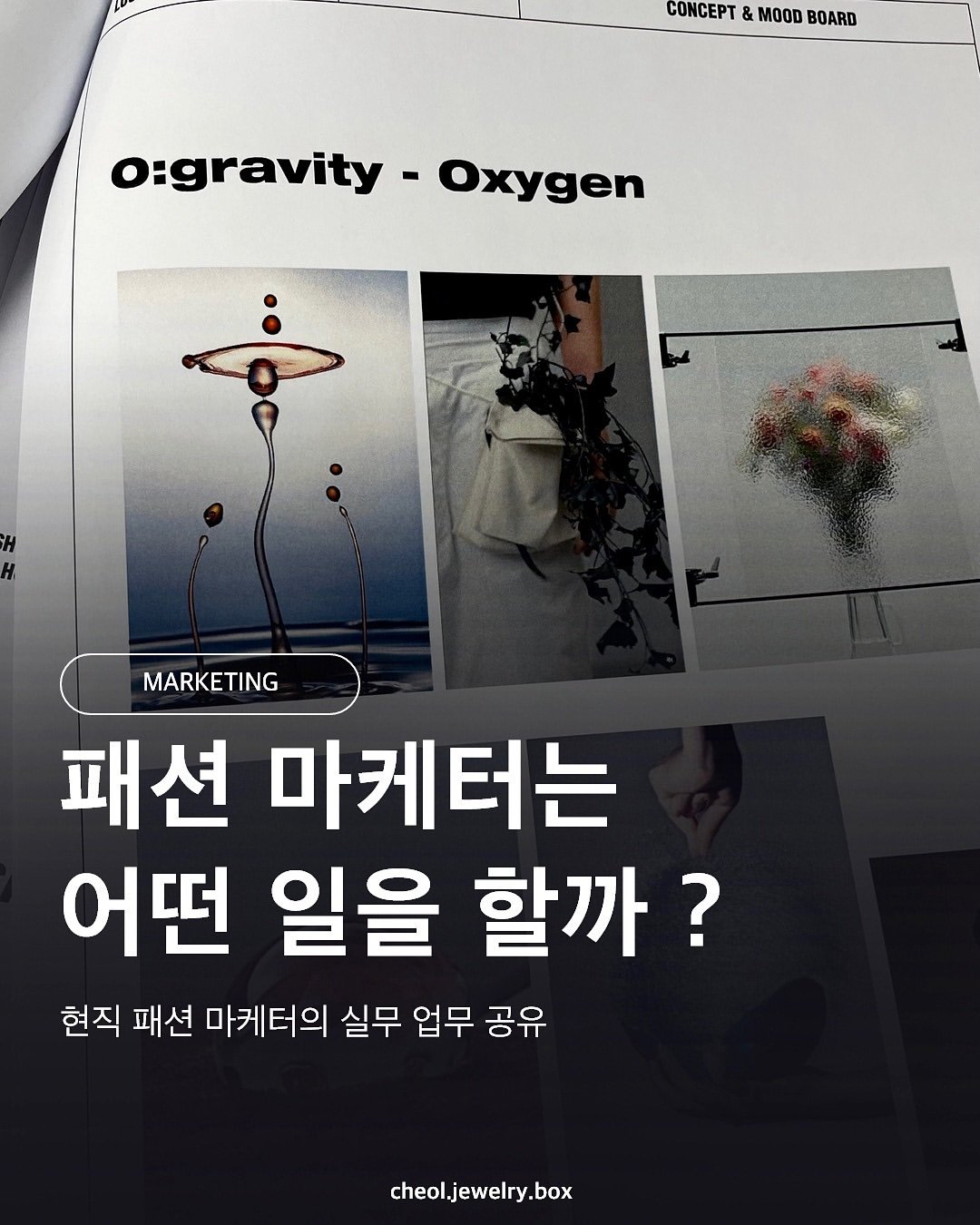 Photo by 철님보석함 on January 03, 2025.