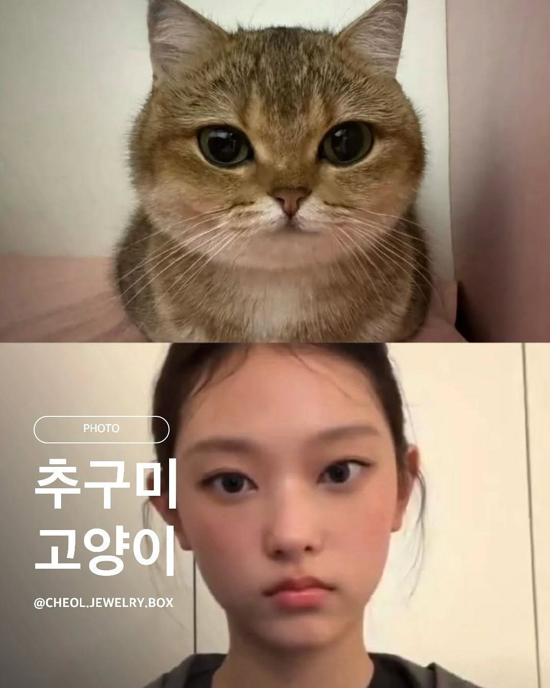 Photo by 철님보석함 on October 03, 2025. May be an image of 1 person and text that says 'PHOTO PHOTO 추구미 고양이 @CHEOIL.JEWELRY.BOX'.