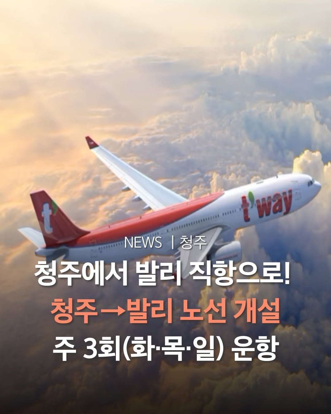Photo by 청주여행 | 청주맛집 청주카페 청주핫플 청주데이트 in 청주시. May be an image of text that says 't'way NEWS EWS|청주 청주 청주에서 발리 직항으로! 청주 주발리 노선 개설 주 3회 주3회(화·목•일) (화·목· 운항'.