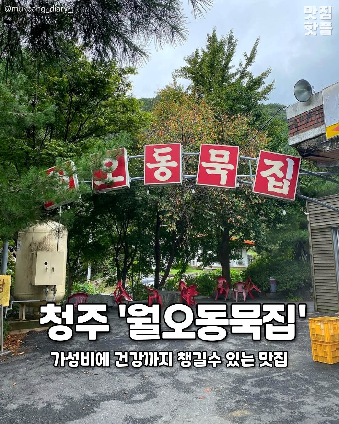 Photo by 청주여행 | 청주맛집 청주카페 청주핫플 청주데이트 on August 14, 2025. May be an image of ‎2 people and ‎text that says '‎@mukbang_diaryj _diar @mukbang_ 이고리로 만집 하플 لثية 외통목집 동 묵집 집 외통묵 청주 '월오동목집' 가성비에 건강까지 챙길수 있는 맛집‎'‎‎.
