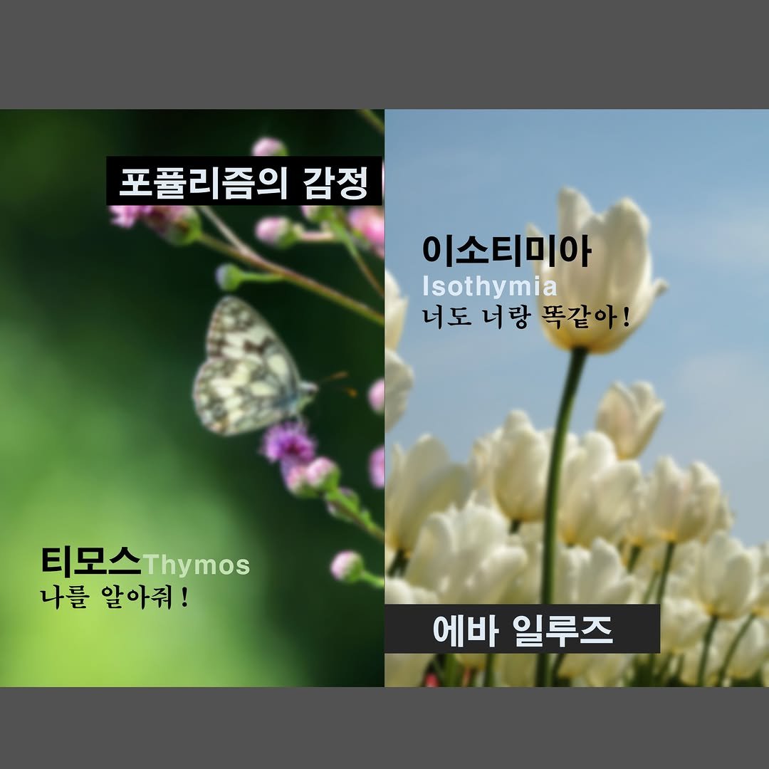 cheongmipublishing 게시물 이미지: 오랜만에 청미지기:) 

연휴 내내 교정만 보았나봐요.

청미책 중
#해피크라시...