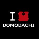 maison_de_domodachi 프로필 사진