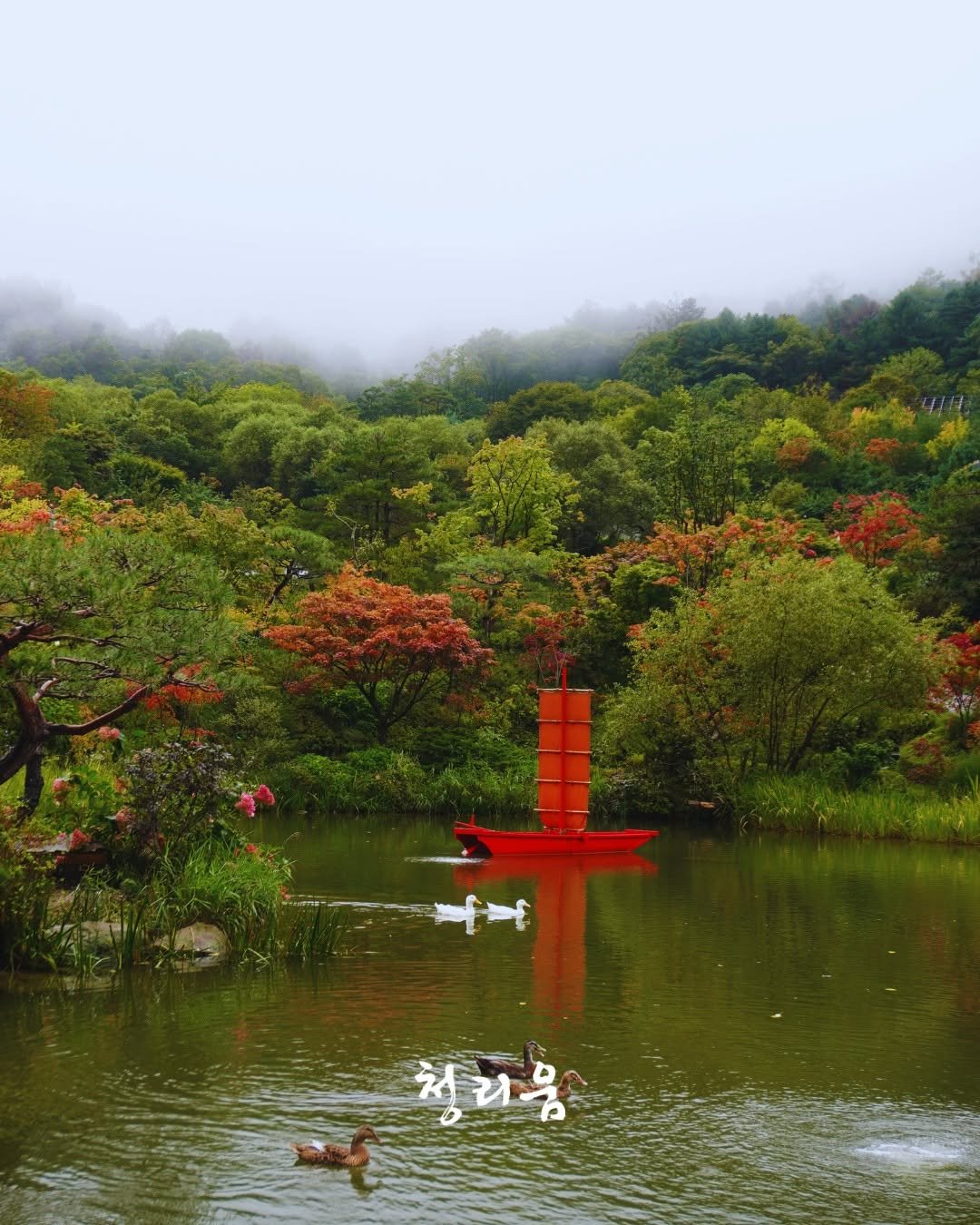 Photo by 청리움 CHEONGRIUM on September 18, 2025. May be an image of swan, goose, duck, lake and text.