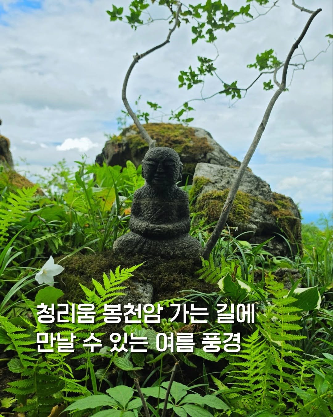 cheongrium 게시물 이미지: 청리움 봉천암 가는 길에 만날 수 있는 여름 풍경 💚

비 온 뒤 싱그러움이 가득한...