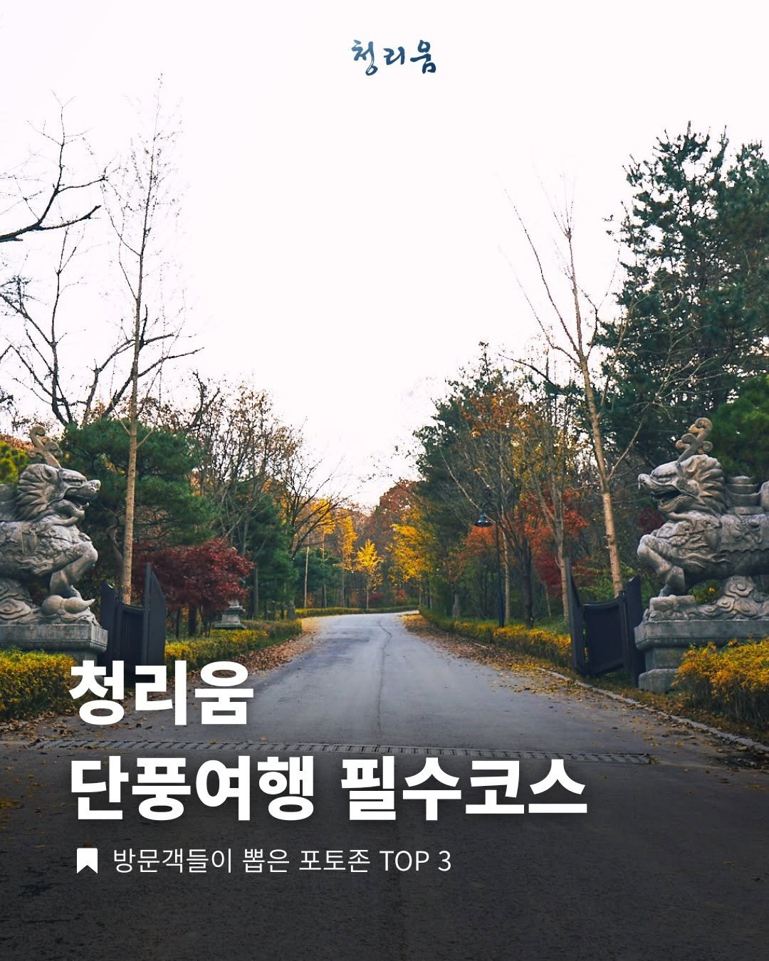 Photo by 청리움 CHEONGRIUM on September 22, 2025. May be an image of outdoors and text that says '청리음 청리움 단풍여행 필수코스 방문객들이 뽑은 포토존 TOP TOP3 3'.