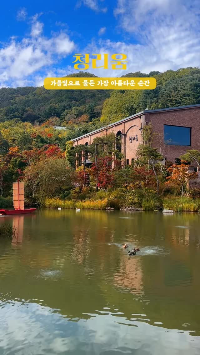 cheongrium 게시물 이미지: 청리움의 가장 아름디운 순간, 가을