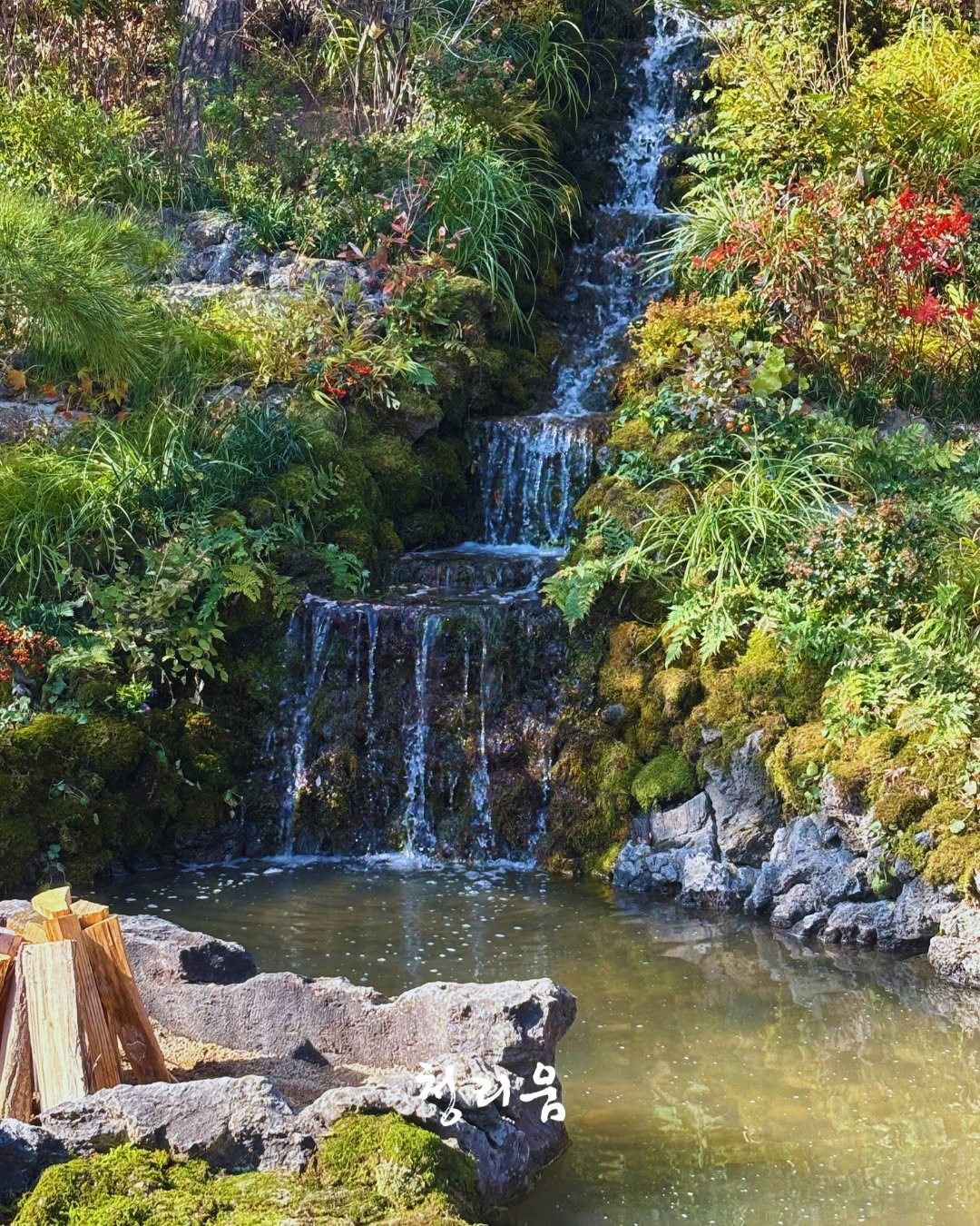 Photo by 청리움 CHEONGRIUM on November 11, 2025. May be an image of waterfall and text.