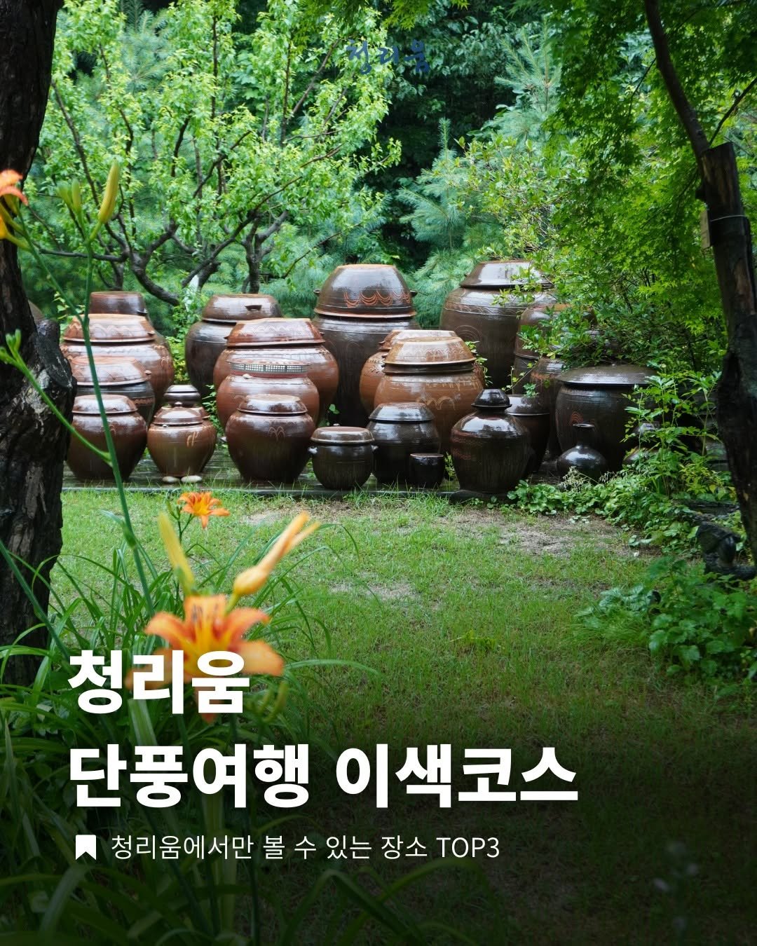 Photo by 청리움 CHEONGRIUM on September 28, 2025. May be an image of plant, outdoors and text that says '청리움 단풍여행 이색코스 청리움에서만 서만 볼 수 있는 장소 TOP3'.