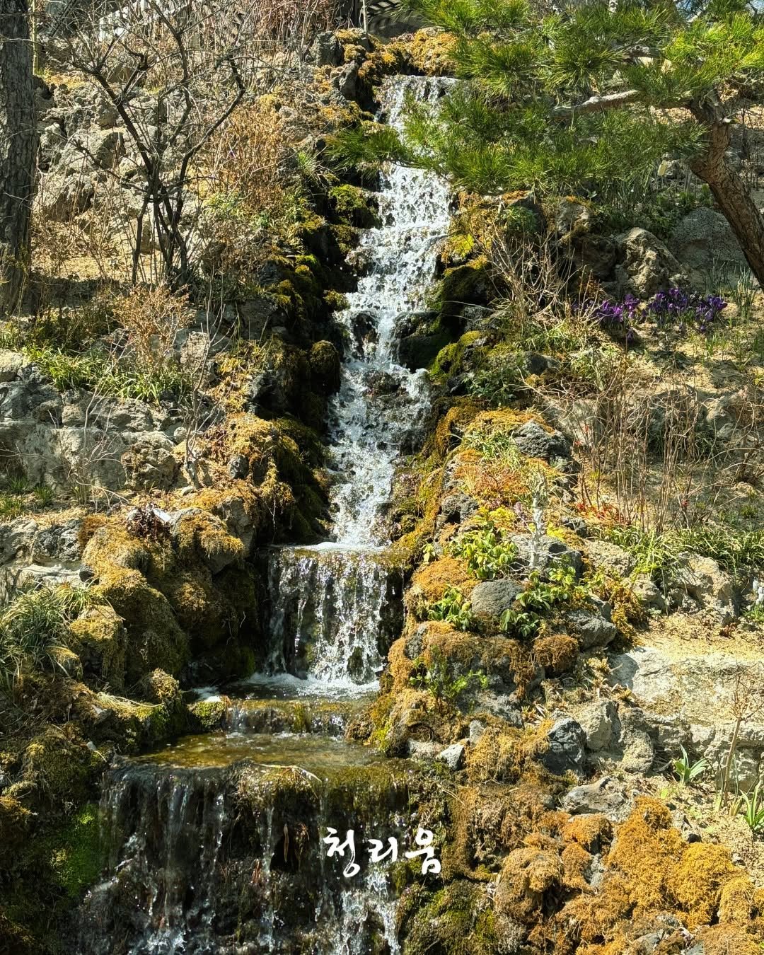 Photo by 청리움 CHEONGRIUM on April 10, 2026. May be an image of text that says '청리움'.