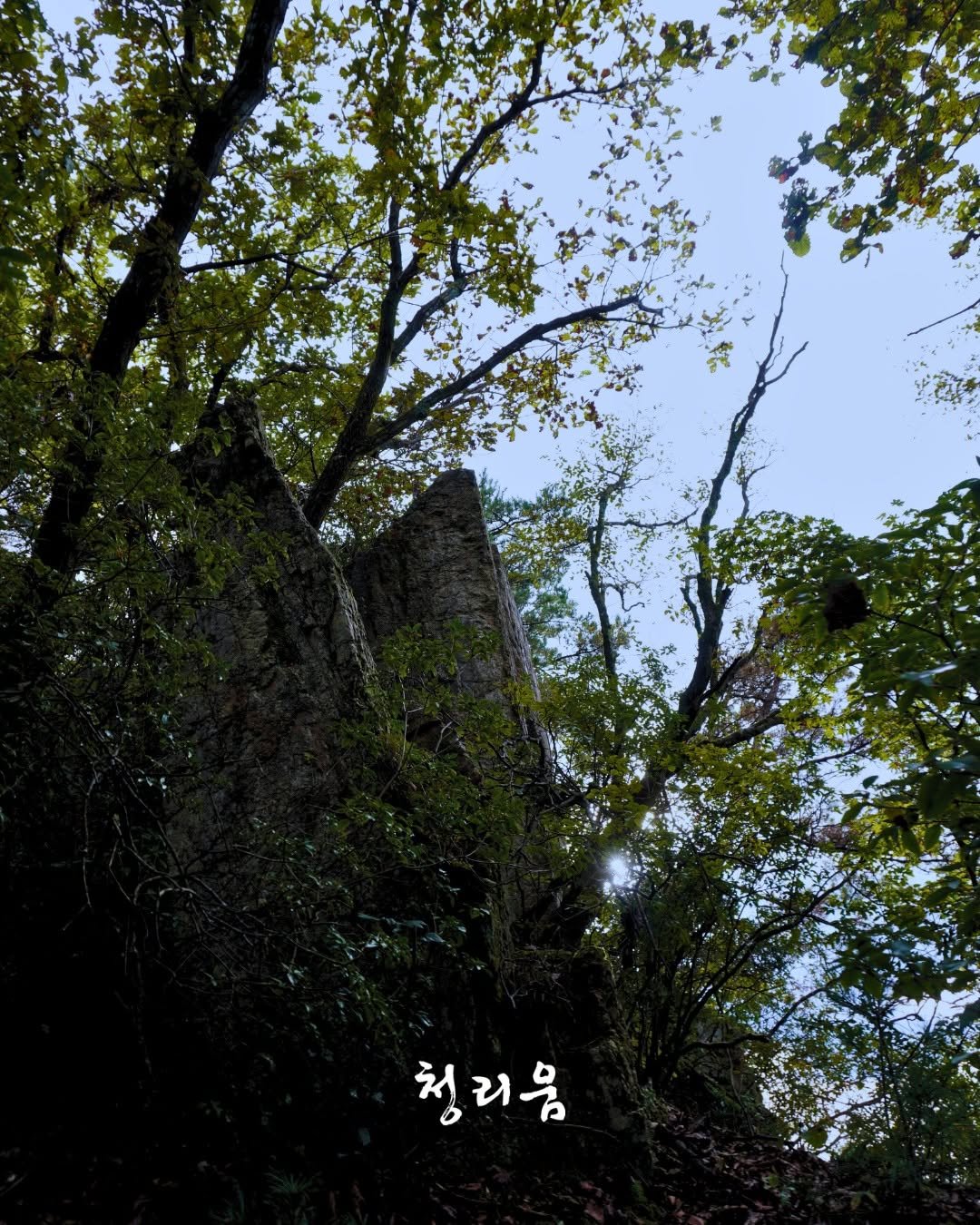 Photo by 청리움 CHEONGRIUM on September 17, 2025. May be an image of outdoors and text that says '청리음'.