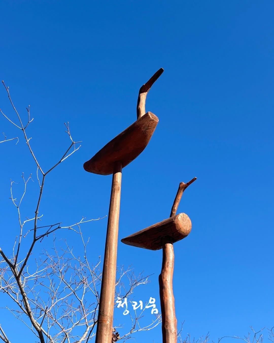 Photo by 청리움 CHEONGRIUM on February 03, 2026. May be an image of sculpture, birdhouse, nest, outdoors and text that says '청리음 음 청'.