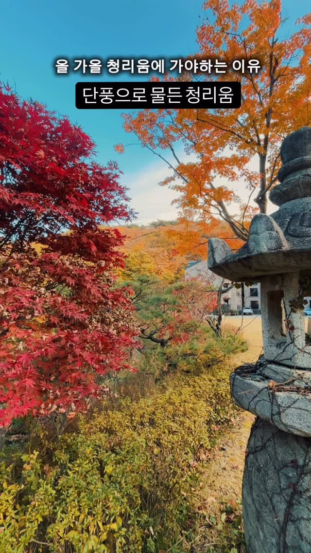 cheongrium 게시물 이미지: 올 가을 청리움에 가야하는 이유 🍂