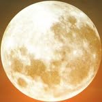 agj_dal.dduck 프로필 사진