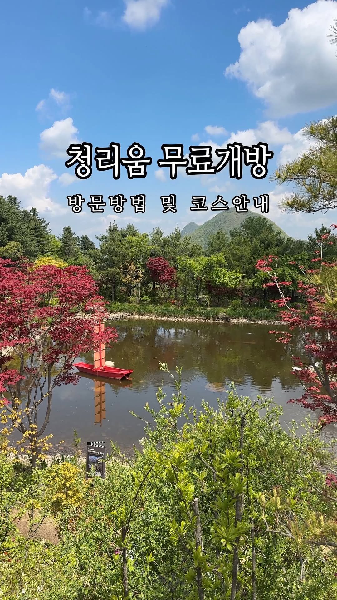 cheongrium 게시물 이미지: 안녕하세요, 청리움입니다! 😊
가평 청리움 보리산 숲 속에서 자연의 고요한 분위기...
