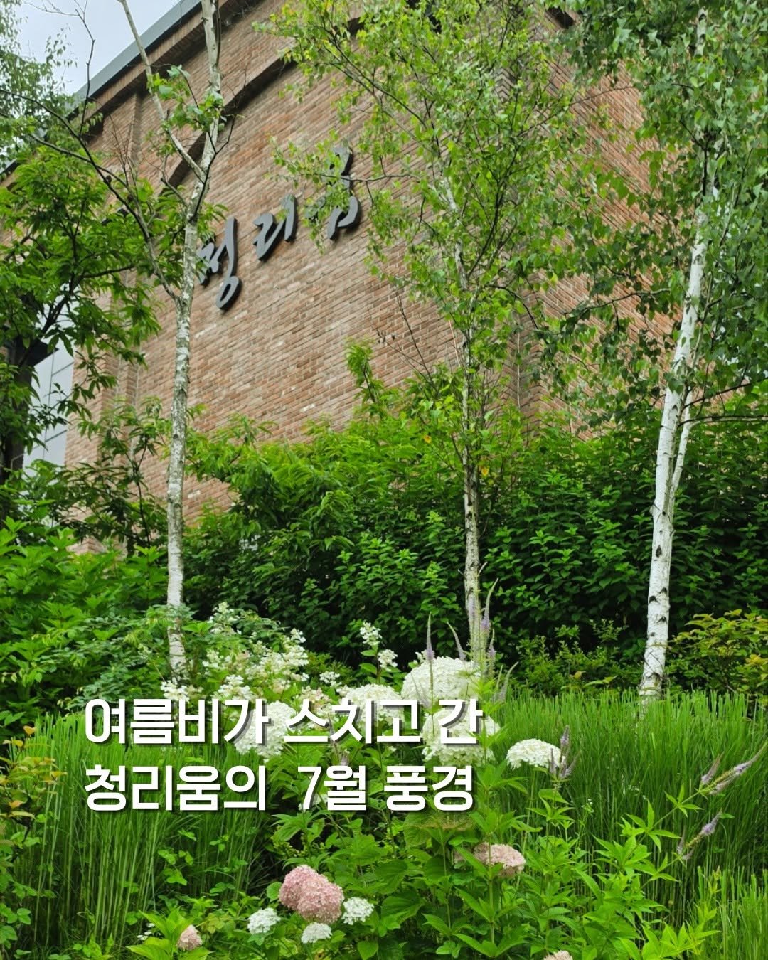 cheongrium 게시물 이미지: 여름비가 스치고 간 청리움의 7월 풍경

세차게 내리던 여름비가 한 차례 지나가고...