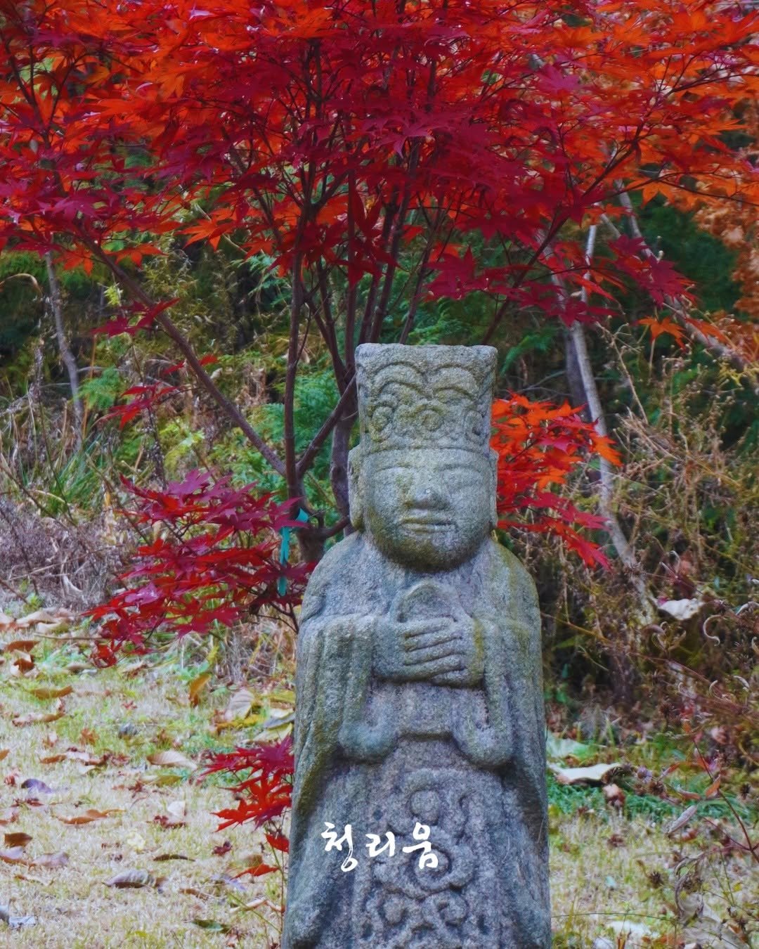 Photo by 청리움 CHEONGRIUM on November 11, 2025. May be an image of text that says '청리음'.