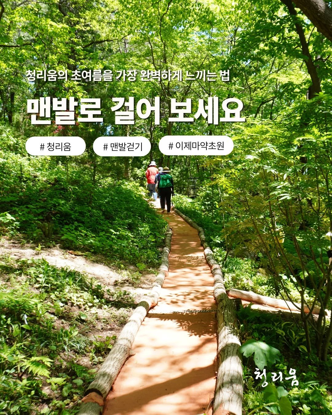 cheongrium 게시물 이미지: 신발 속에 꽁꽁 갇혀 있던 내 발에게
올여름 가장 시원한 자유를 선물하세요....