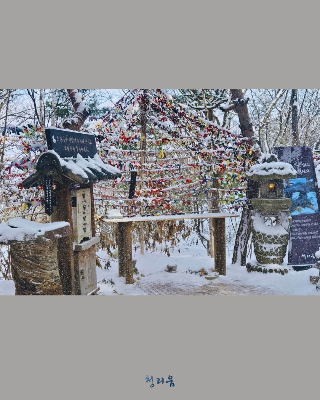 Photo by 청리움 CHEONGRIUM on February 01, 2026. May be an image of wind chime, birdhouse, bird feeder, Fushimi Inari Taisha, park, snow and text.