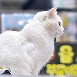 yp_bunnyfarm 프로필 사진