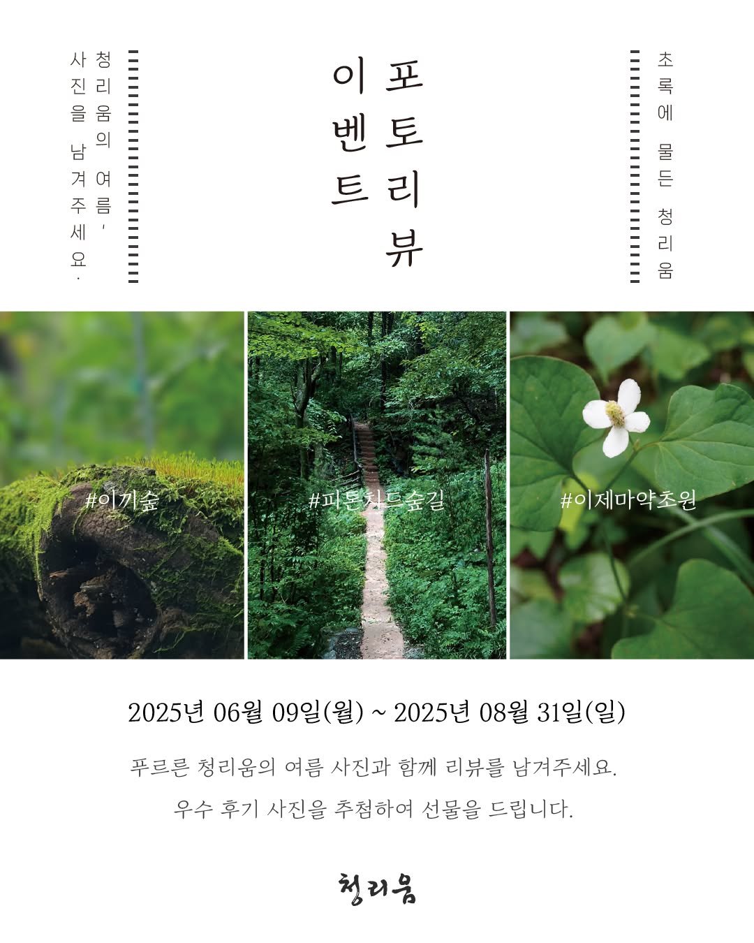 Photo by 청리움 CHEONGRIUM on June 09, 2025. May be an image of poster, flower, ivy, devilwood, herb and text that says '사 첨 진 리 을 움 의 남 겨 여 주 름 세 요 年 록 에 이포 이 王 벤토 있없니하 토 벤 트리 리 . 异 물 rn 吐 ه 머 #이기숲 #파톤치드숲길 #이제마약초원 2025년 06월 09일 09일(월) 2025년 08월 31일( 일) 푸르른 청리움의 여름 사진과 함께 리뷰를 남겨주세요. 우수 후기 사진을 추첨하여 선물을 드립니다. 청리음'.