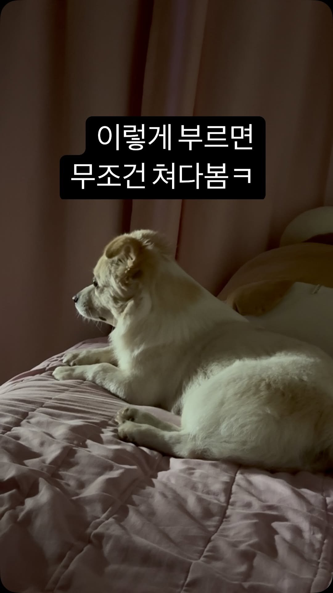 cherry__0705 게시물 이미지: