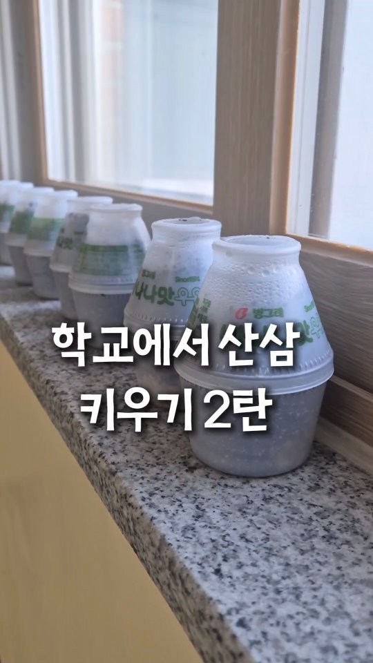 cherry_blossom_inil 게시물 이미지: 학교에 산삼 씨앗을 심었습니다.😆
아주 귀여운, 바나나 우유 화분에요~~
과연 잘...