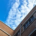 cherry_blossom_inil 인스타그램 프로필 사진