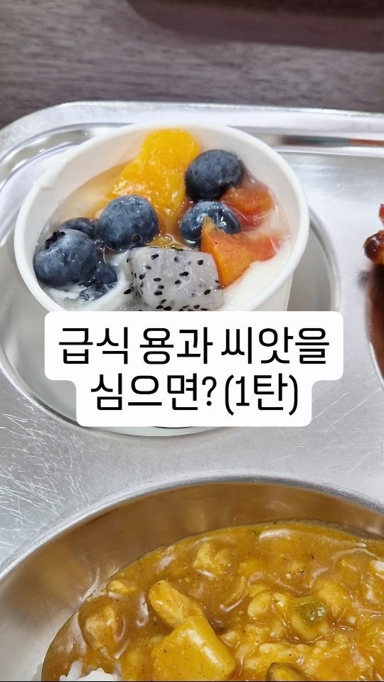 cherry_blossom_inil 게시물 이미지: 학교 급식의 용과 씨를 심으면 용과가 열릴까요?
씨앗은 발아될까요?
용과 씨앗의...