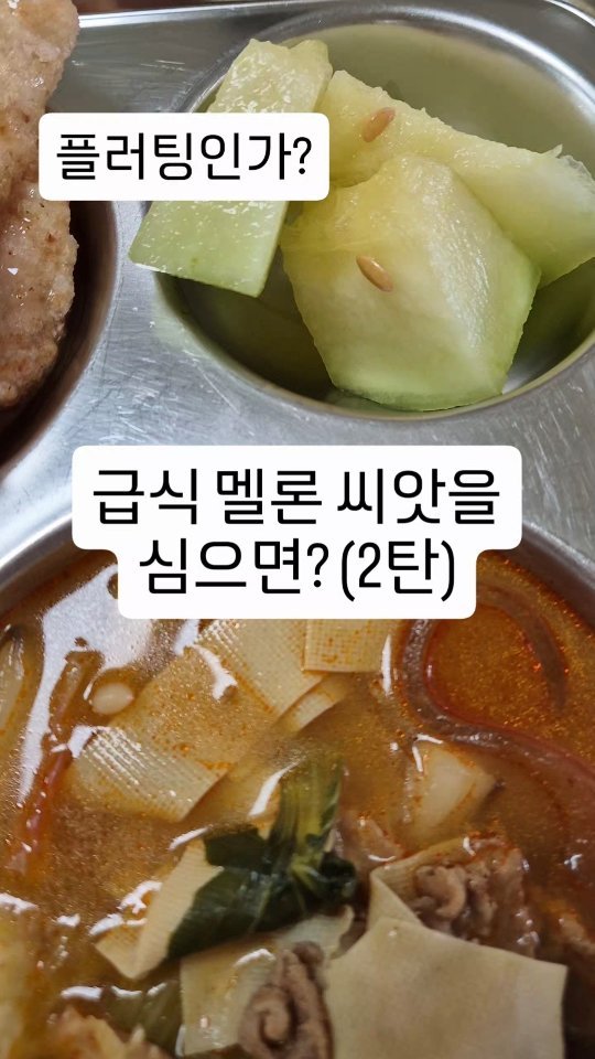 cherry_blossom_inil 게시물 이미지: 학교 급식의 멜론 씨앗을 심어봤습니다.🍈
현재, 예쁜 잎이 잘 자라고...
