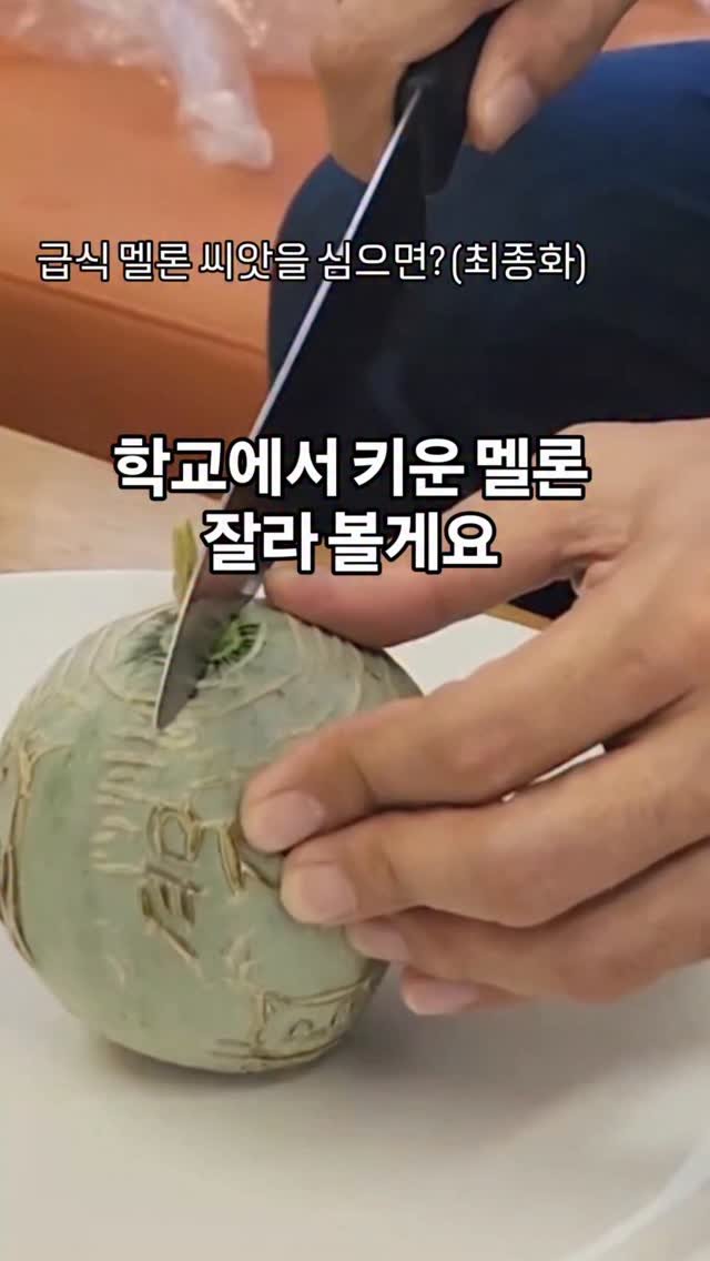 cherry_blossom_inil 게시물 이미지: (최종화) 학교에서 키운 멜론 잘라볼게요.
급식에서 나온 멜론 씨앗부터 키운...