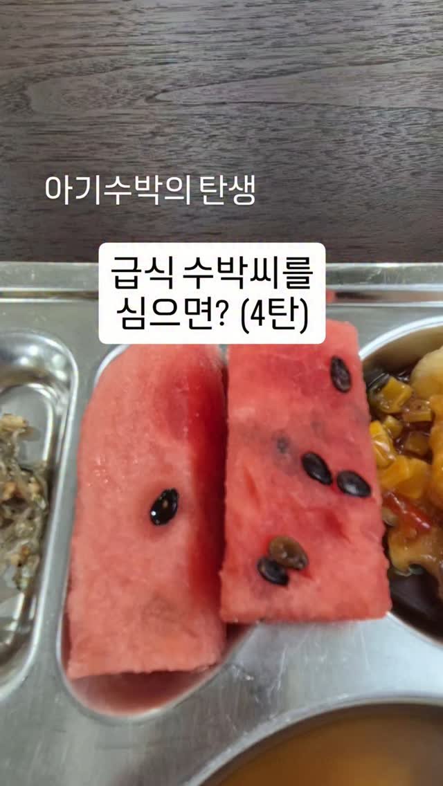 cherry_blossom_inil 게시물 이미지: 학교 급식의 수박 씨를 심으면, 수박이 열릴까요? 😄😁😆
인일여고 급식 최고!
#급식 #수박