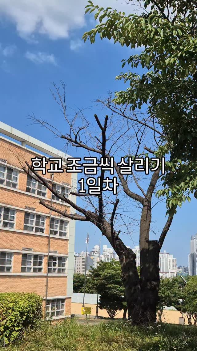 cherry_blossom_inil 게시물 이미지: 학교 조금씩 살리기 영상입니다.
요즘 조금씩 부시는 영상이 인기더라고요.
반대되는...