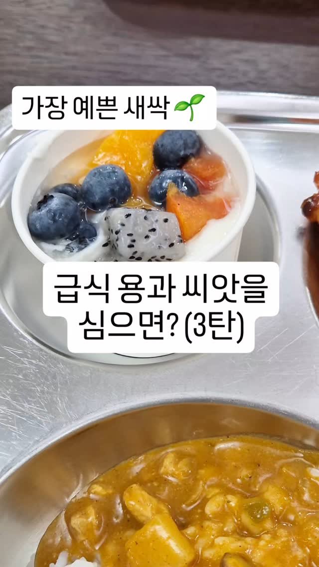 cherry_blossom_inil 게시물 이미지: 학교 급식의 용과 씨를 심으면 용과가 열릴까요?
씨앗은 발아될까요?
용과 씨앗의...