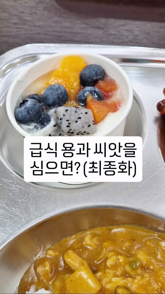 cherry_blossom_inil 게시물 이미지: 학교 급식의 용과 씨앗을 키우고 있습니다.
많이 자러서, 고양이의 꼬리로 변신하고...