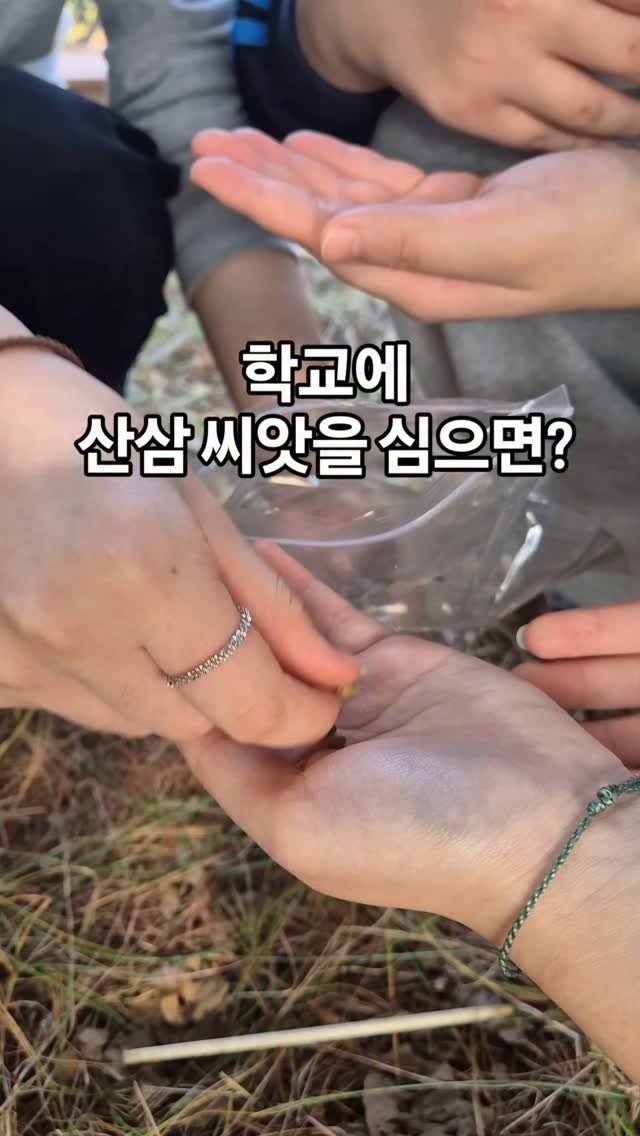 cherry_blossom_inil 게시물 이미지: 학교에 산삼 씨앗을 심었습니다.😆
과연 잘 자랄 수 있을까요?

많은 응원...