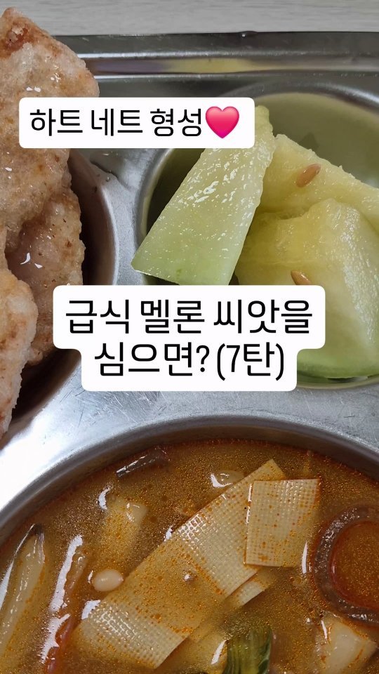 cherry_blossom_inil 게시물 이미지: 학교 급식의 멜론 씨앗을 심었습니다.
지금은 네트가 형성되고 있습니다.
상처가...