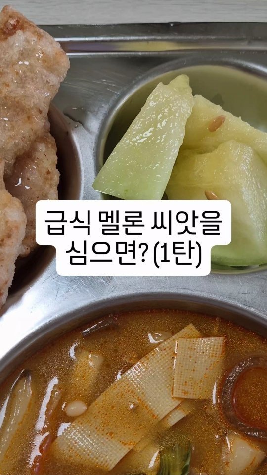 cherry_blossom_inil 게시물 이미지: 학교 급식의 멜론 씨앗을 심어봤습니다.🍈
잘 자랄 수 있도록 응원...