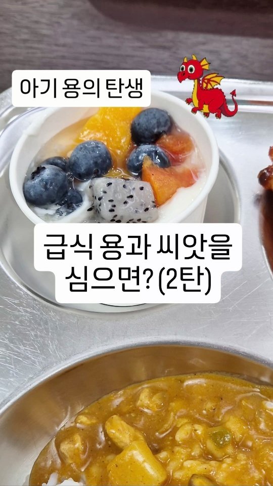cherry_blossom_inil 게시물 이미지: 학교 급식의 용과 씨를 심으면 용과가 열릴까요?
씨앗은 발아될까요?
용과 씨앗의...