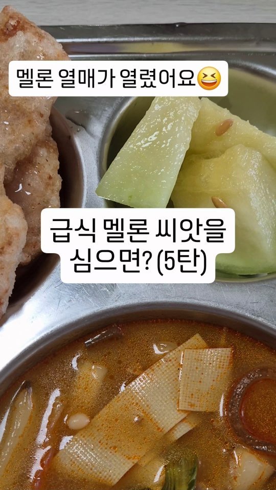 cherry_blossom_inil 게시물 이미지: 학교 급식의 멜론 씨앗을 심었습니다.
현재 멜론이 8통이나 예쁘게 열렸습니다.
아직...