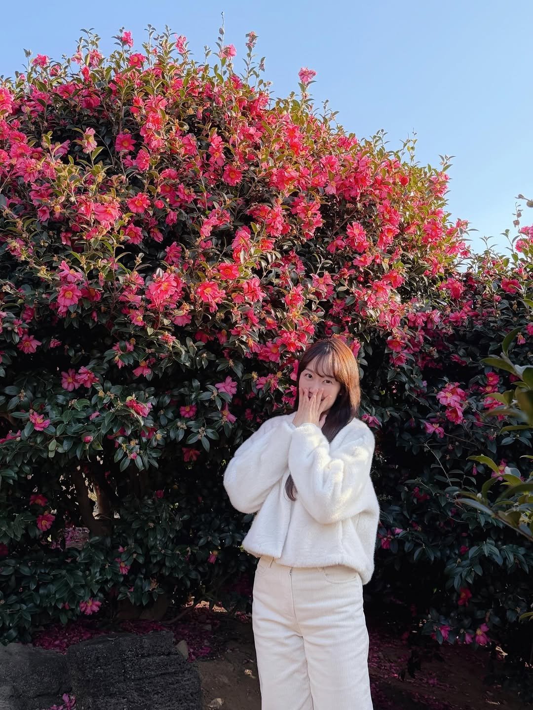 Photo by 체리밀🍒 on February 05, 2026. May be an image of sweatsuit, baby's-breath and text.