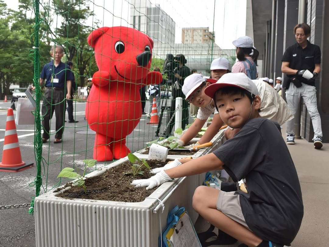 chibanippo 게시물 이미지: 🌿千葉県庁に緑のカーテン🌿

千葉県庁中庁舎で夏の日差しを和らげる
「緑のカーテン」づくりが行...