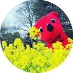 chibakun0111 프로필 사진
