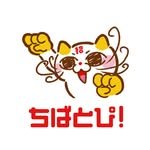 chibatopi 프로필 사진