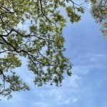 book._.jiny 프로필 사진