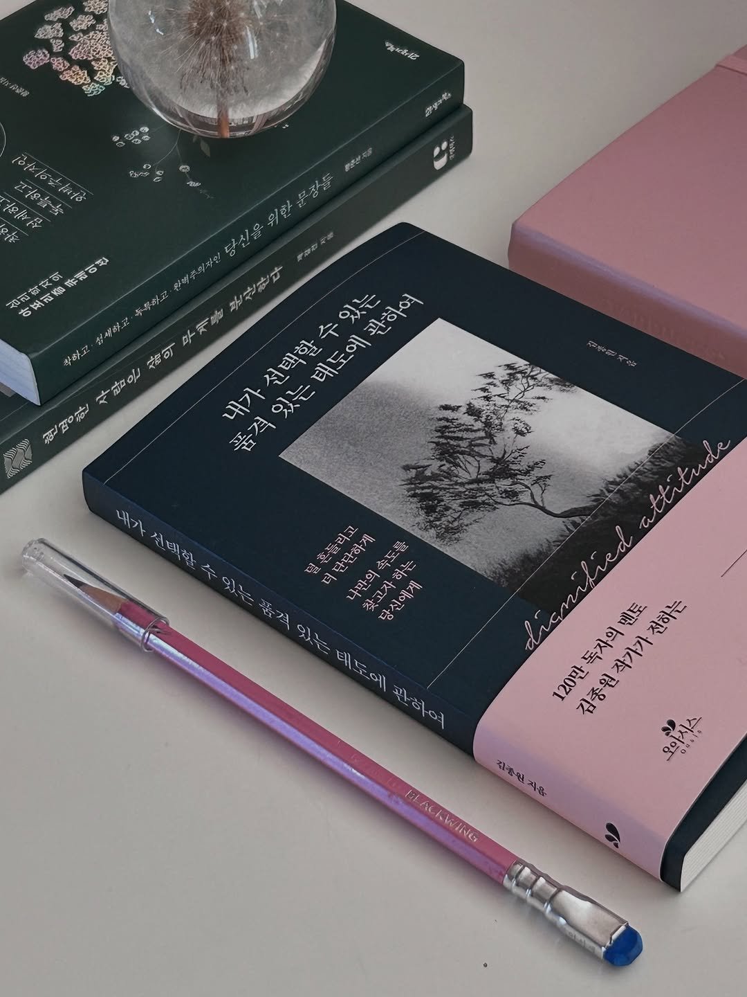 Photo shared by 클로이 | 의식 설계자 on December 29, 2025 tagging @cassiopeia_book. May be an image of diary, pen, pencil case, pencil, book, ruler and text.