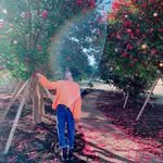 linda_bookmorning 프로필 사진