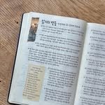 analog_salon 프로필 사진