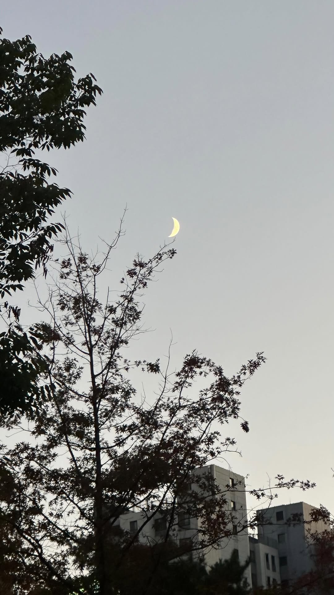 chloeslayde 게시물 이미지: always thankful for the memories 💜 happy 10...