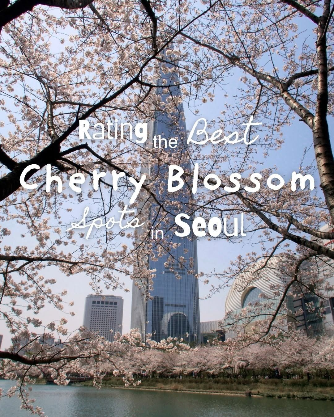 Photo shared by Petit Seoul Guide on March 29, 2026 tagging @chloeslayde. May be an image of text that says 'Rating the Best Cherpy Blossom ossom ΒΙ B in Seoul Seoula'.