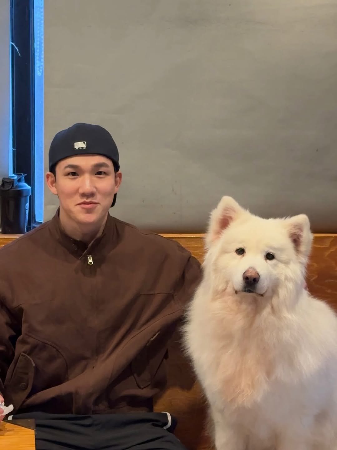 Photo by 최마루 on March 09, 2026. May be an image of Samoyed and text.